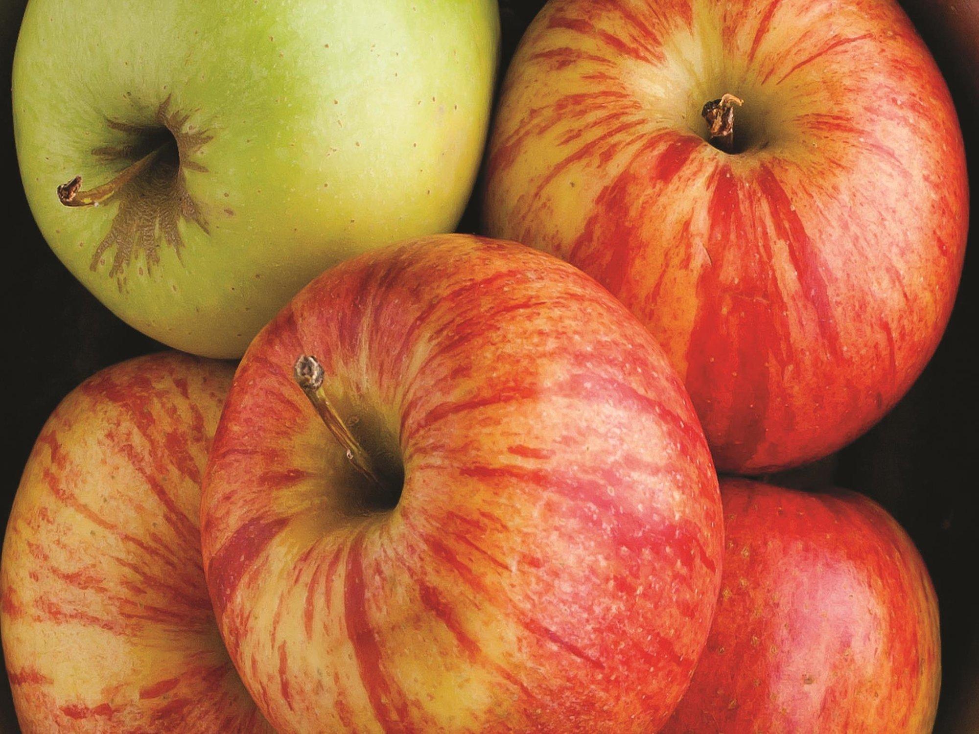 La Quinta Inn & Suites Atlanta South-McDonough