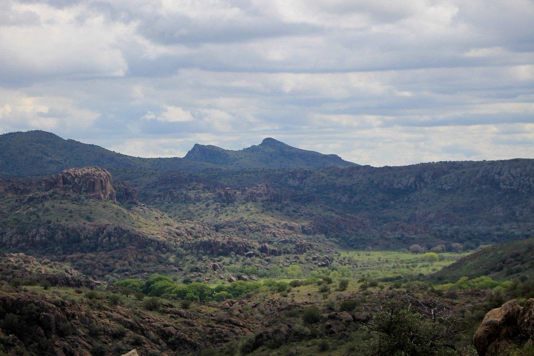 Chihuahuan Desert Nature Center & Botanical Gardens