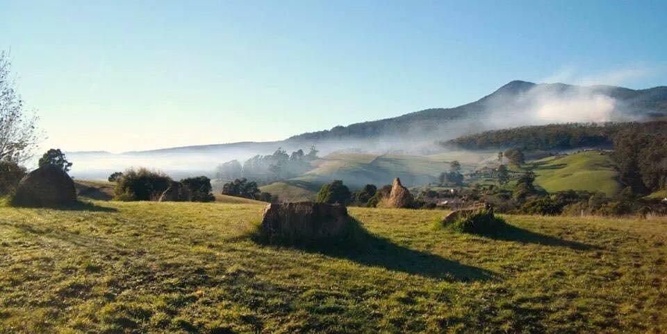 Cherry Top Accommodation