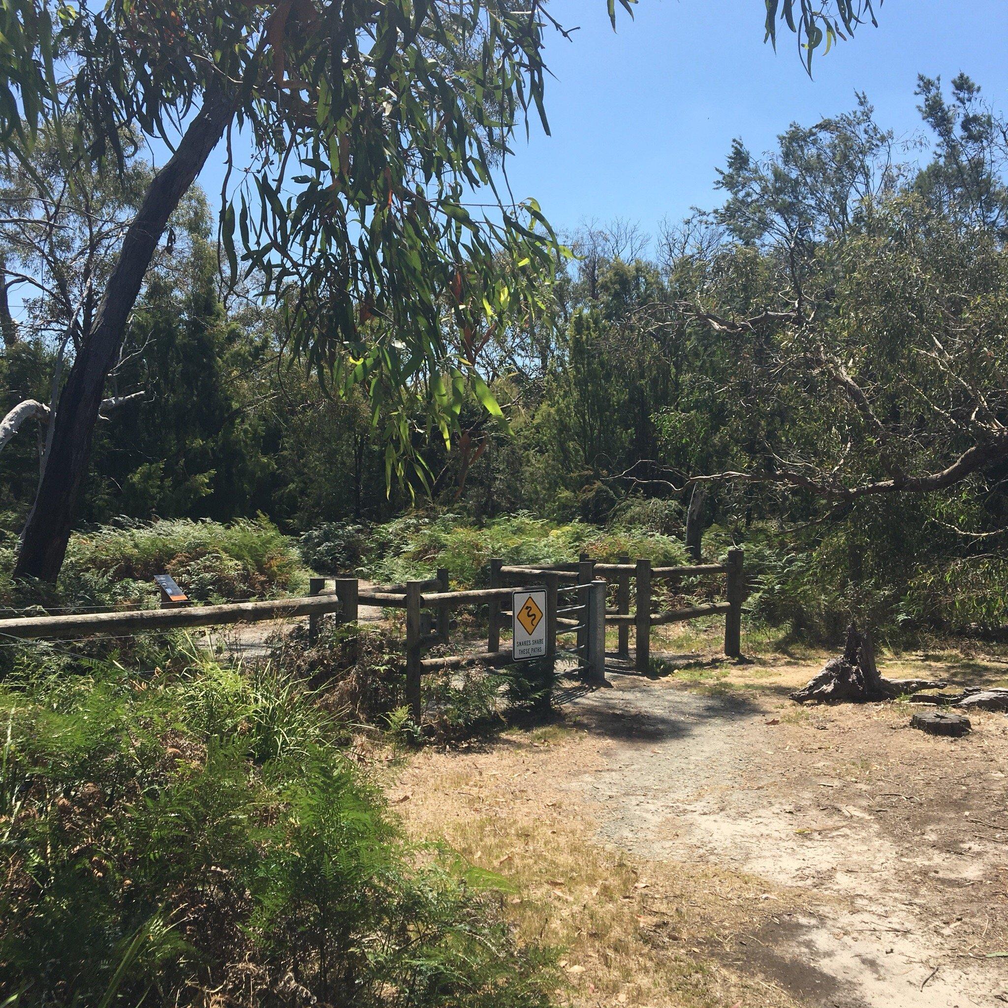 Colley st Bushland Reserve