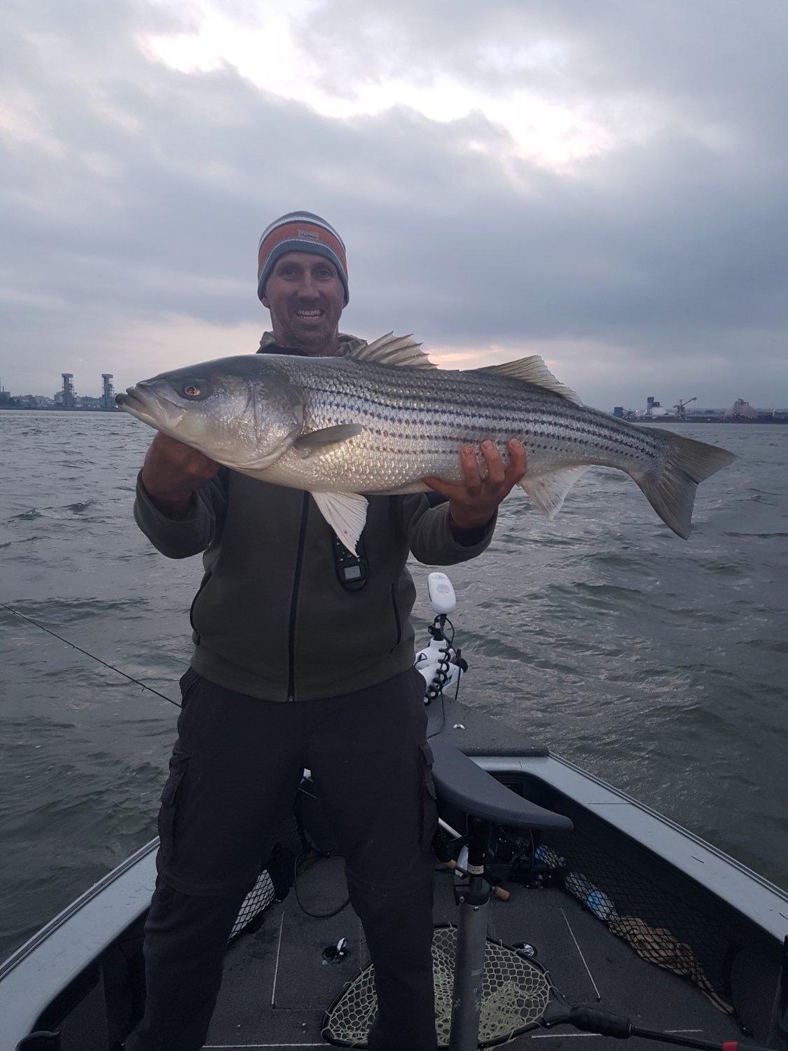 Kingfisher Sportfishing