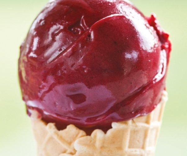 Salcombe Dairy Ice Cream