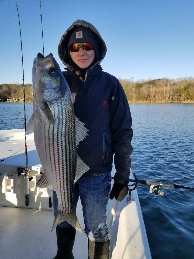 Photo by BernierF350