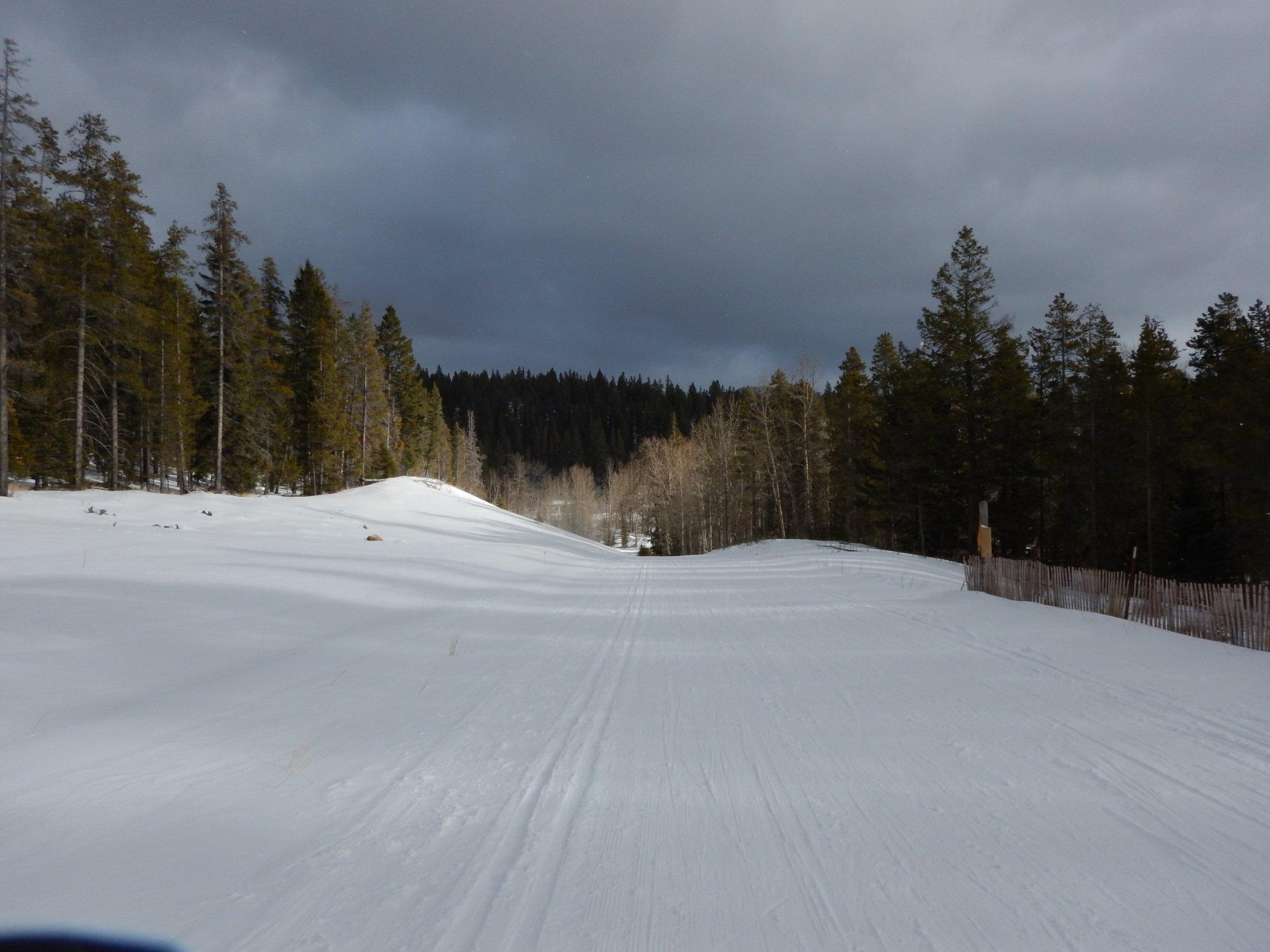 Allison Lake Cross Country Ski Trails