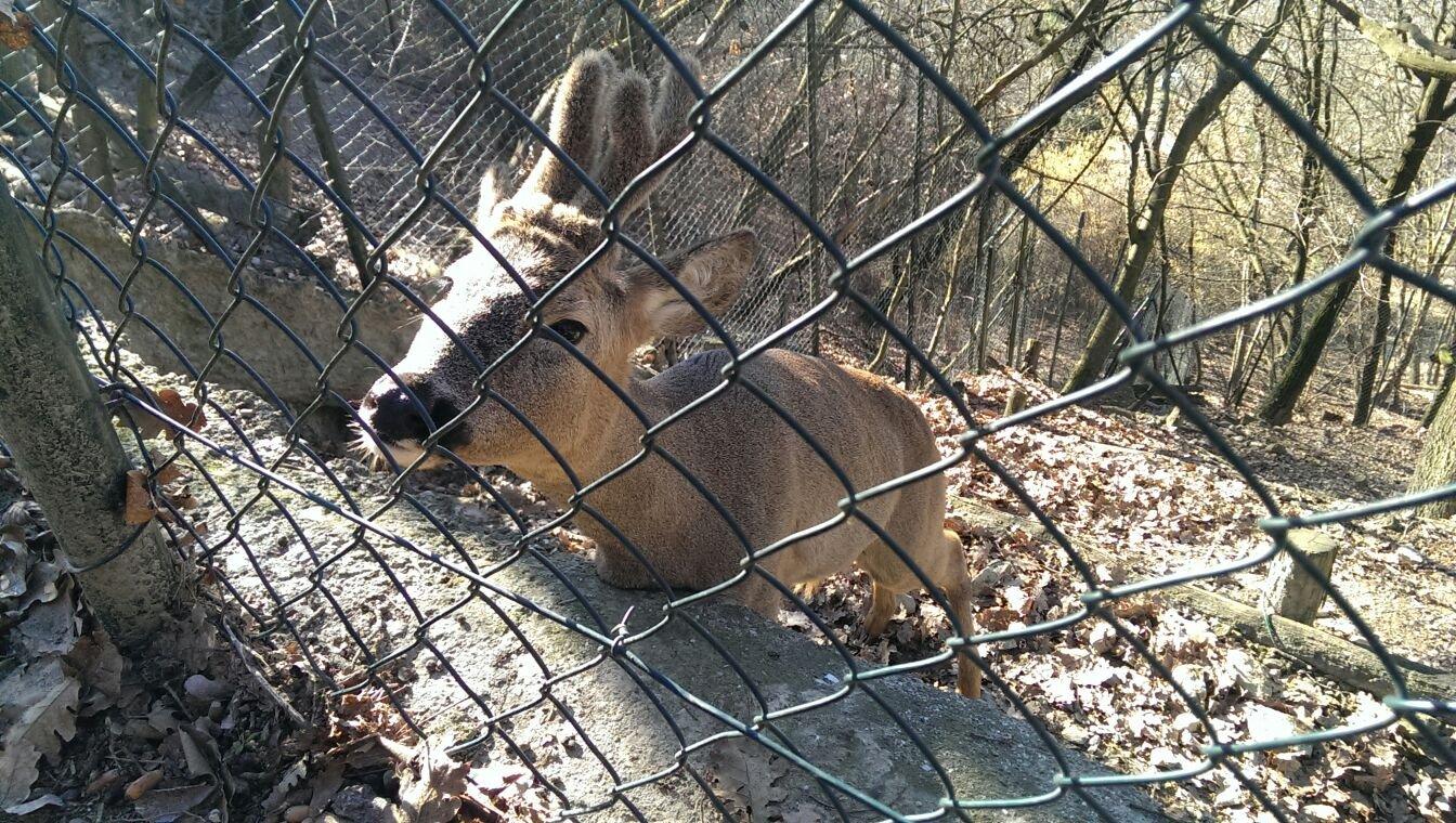 L'Oasi degli Animali