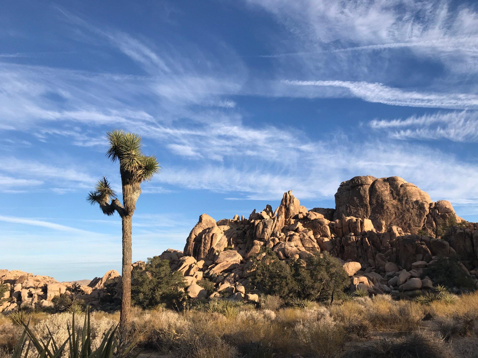 Hidden Valley Campground