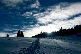 Ruchweid Gastro & Event GmbH