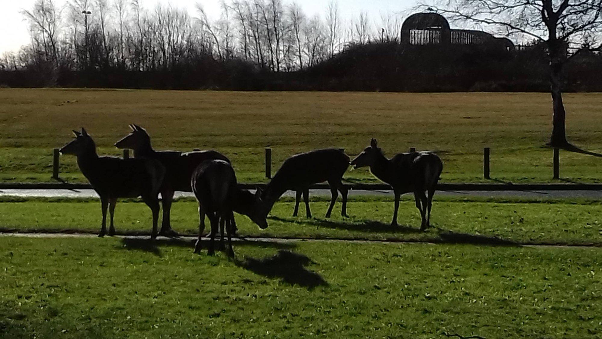 Chase Watersports Centre