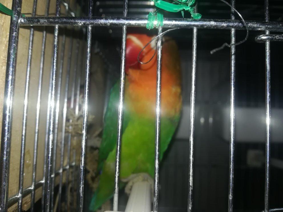 Oficina do Sabor Bar & Bistrot