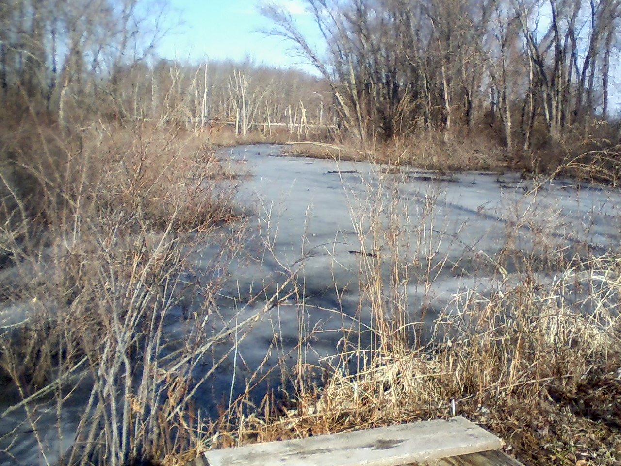 Great Meadows Conservation Trust Wood Parcel