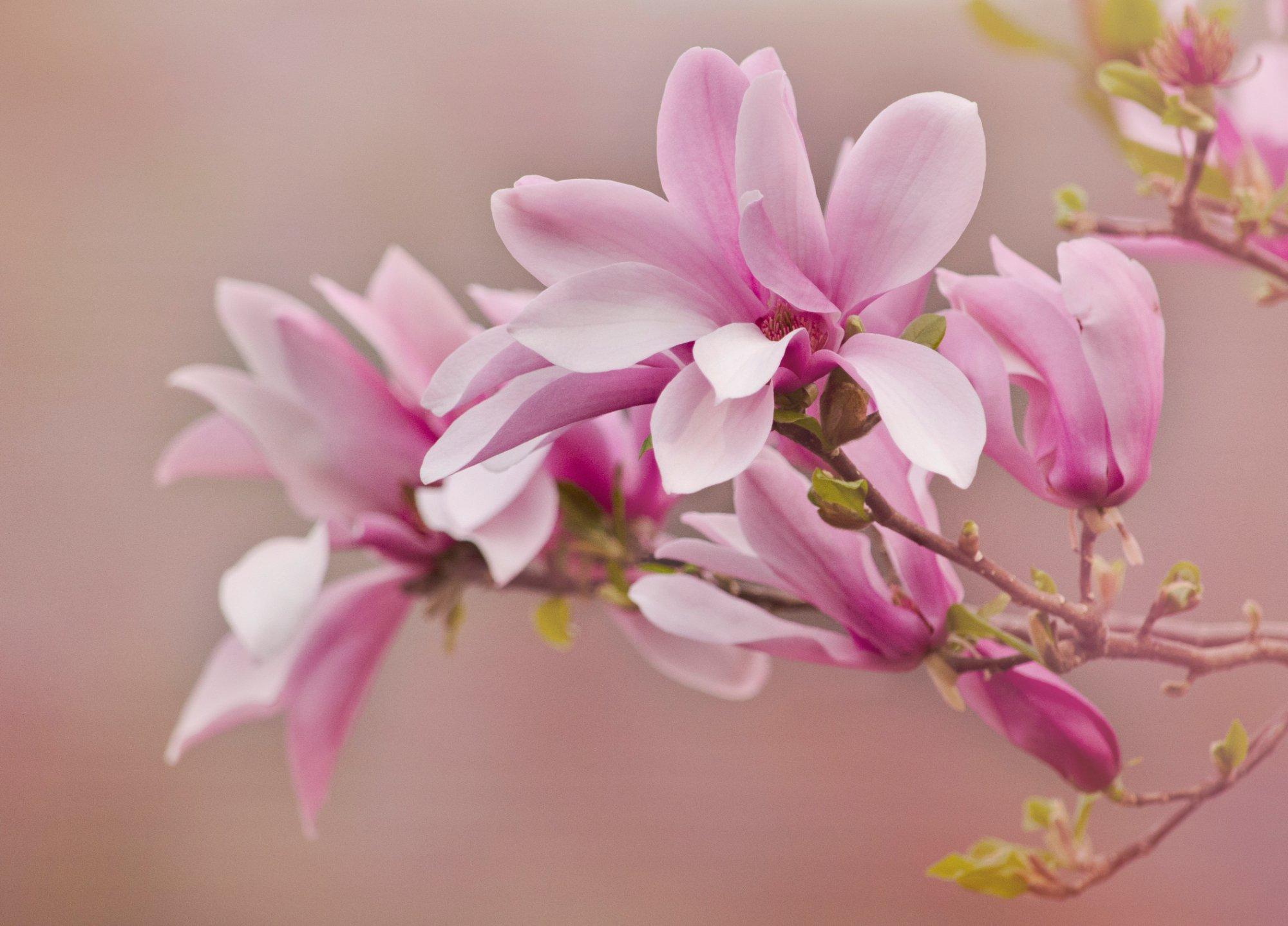 Healing Through Touch Massage