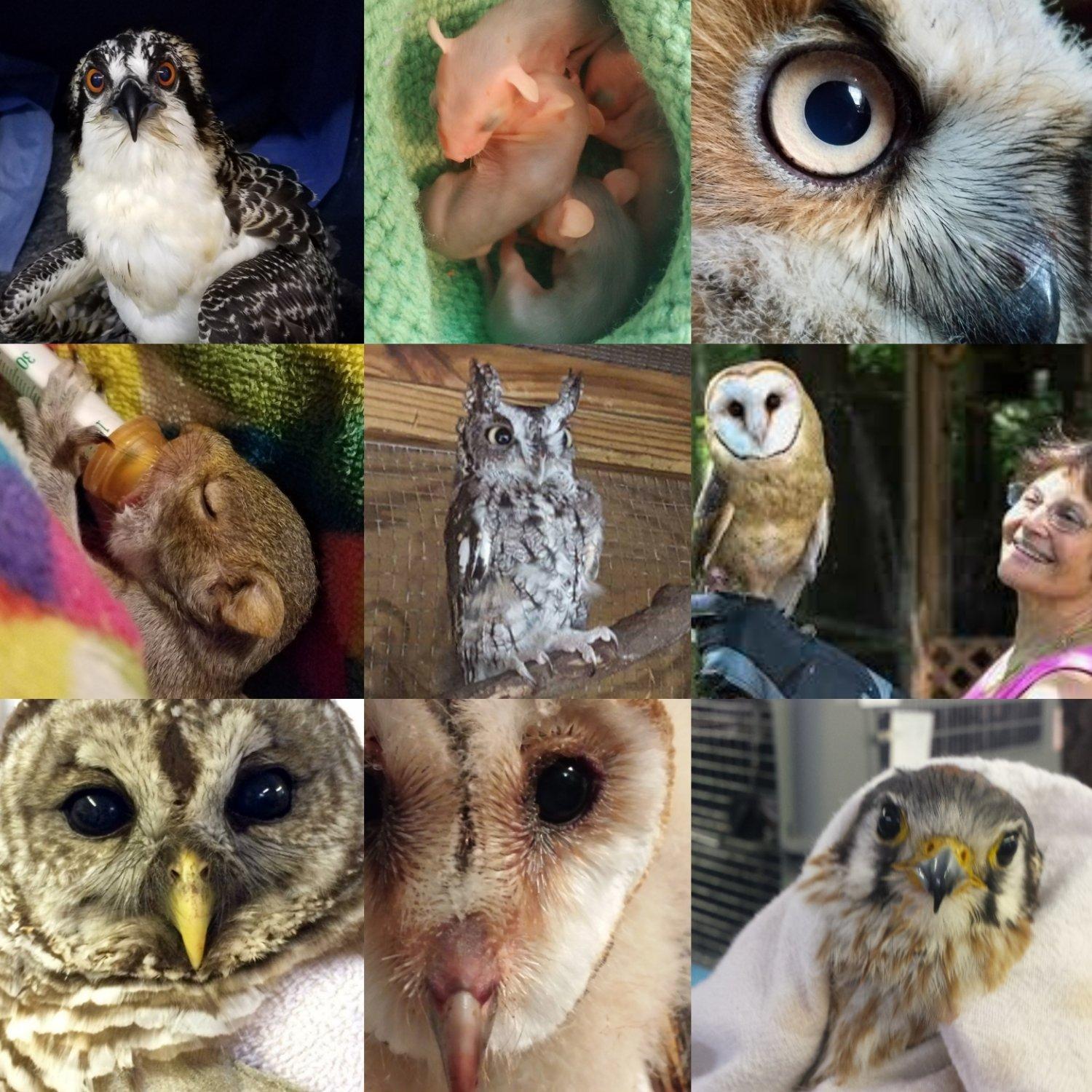 Possumwood Acres Wildlife Sanctuary