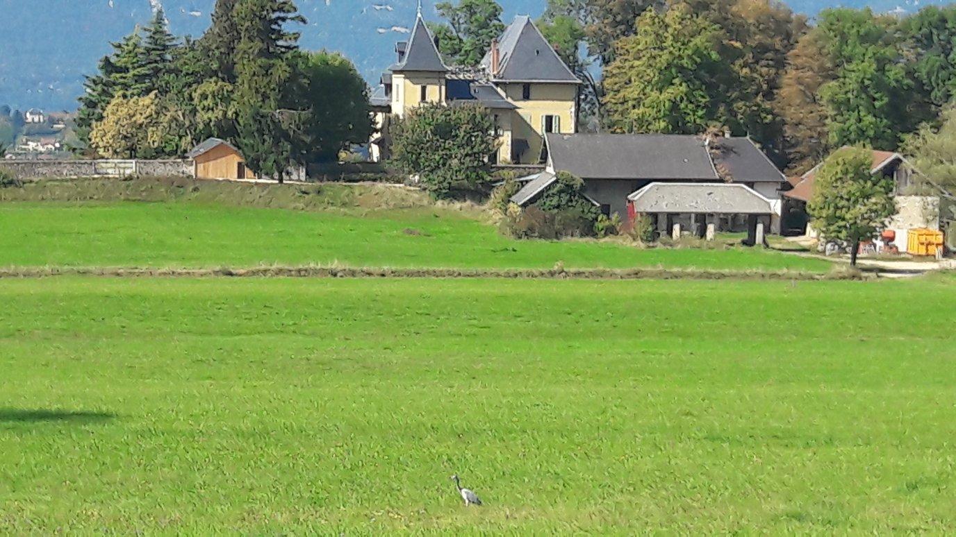 Le Château du Donjon