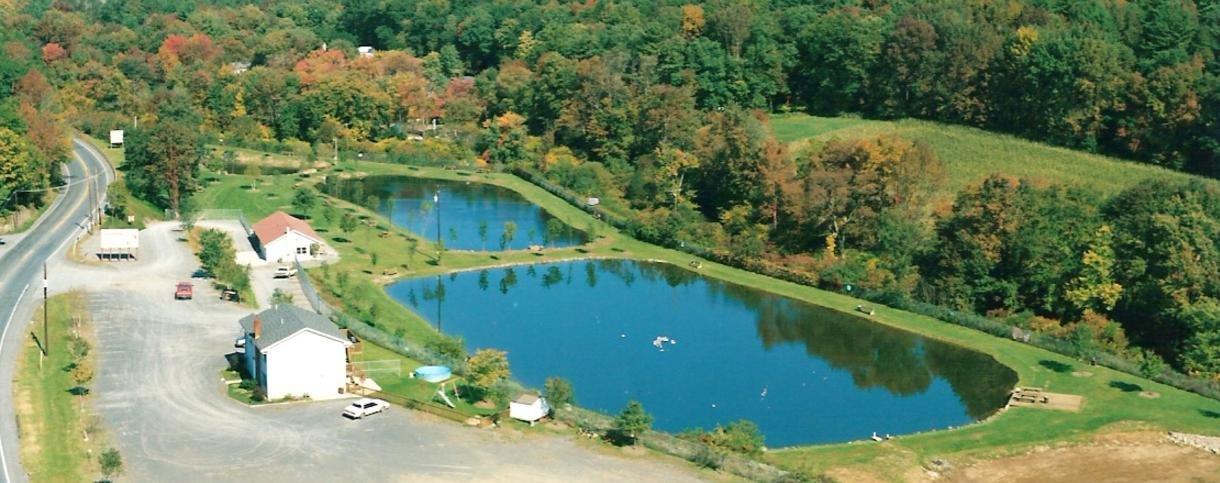 Big Brown Fish & Pay Lakes