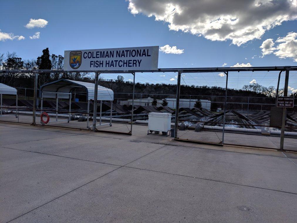 Coleman National Fish Hatchery