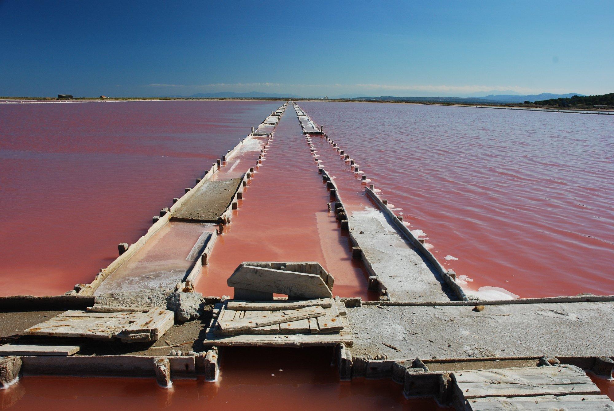 Le Salin de Gruissan