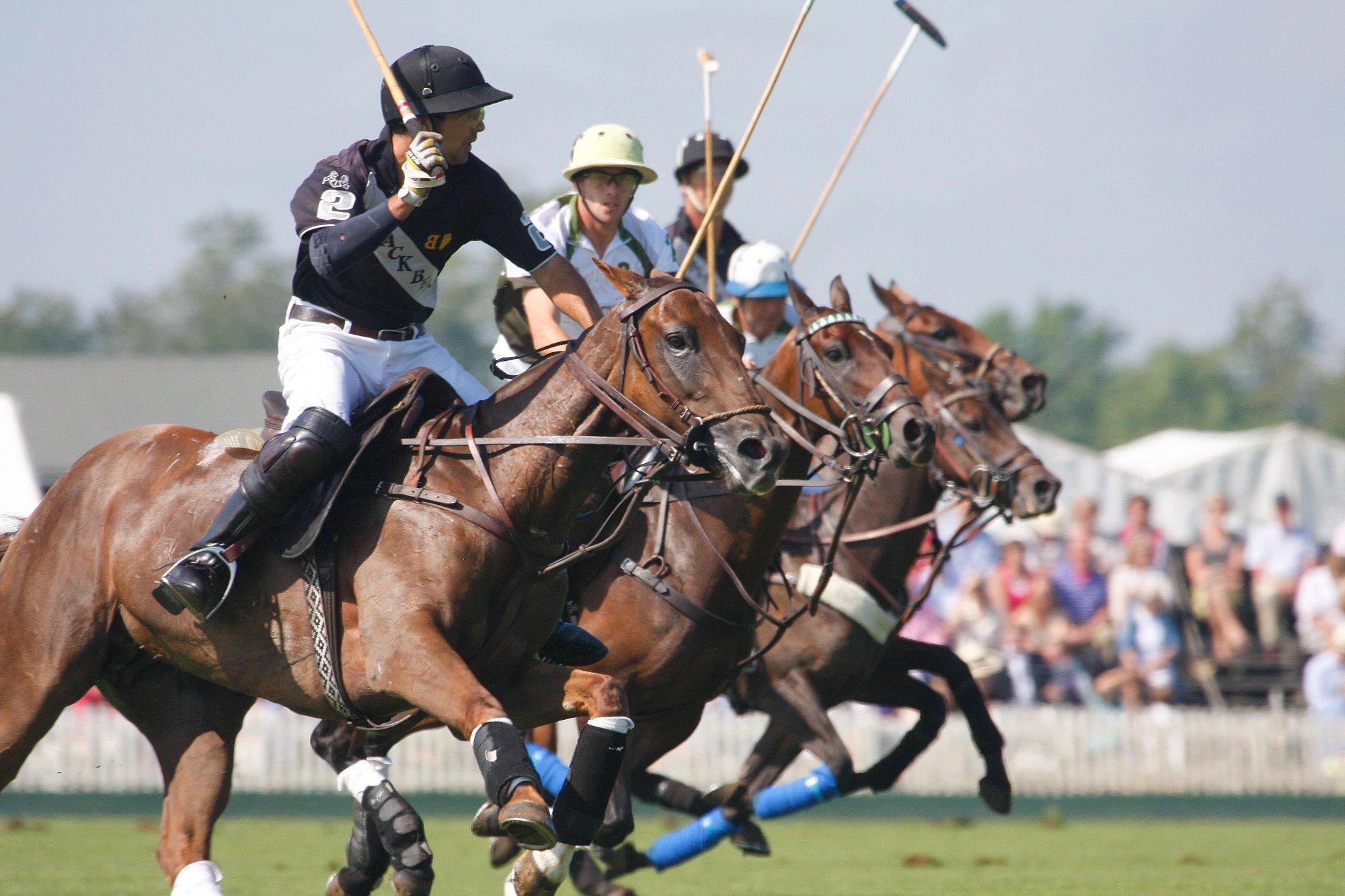 Cirencester Park Polo Club