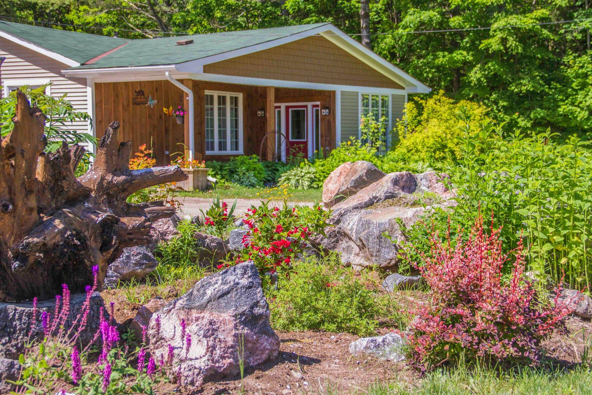 Bear & Butterfly Bed and Breakfast