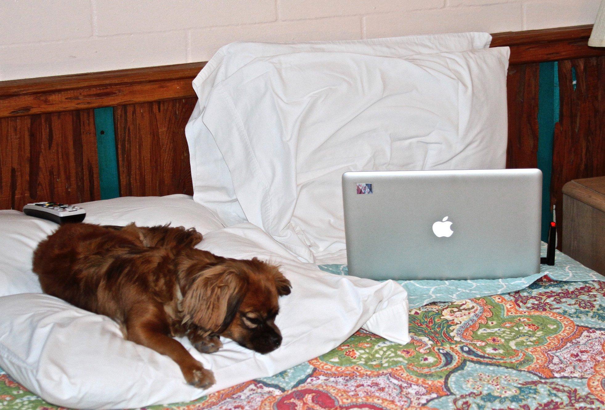 River Inn and Marina