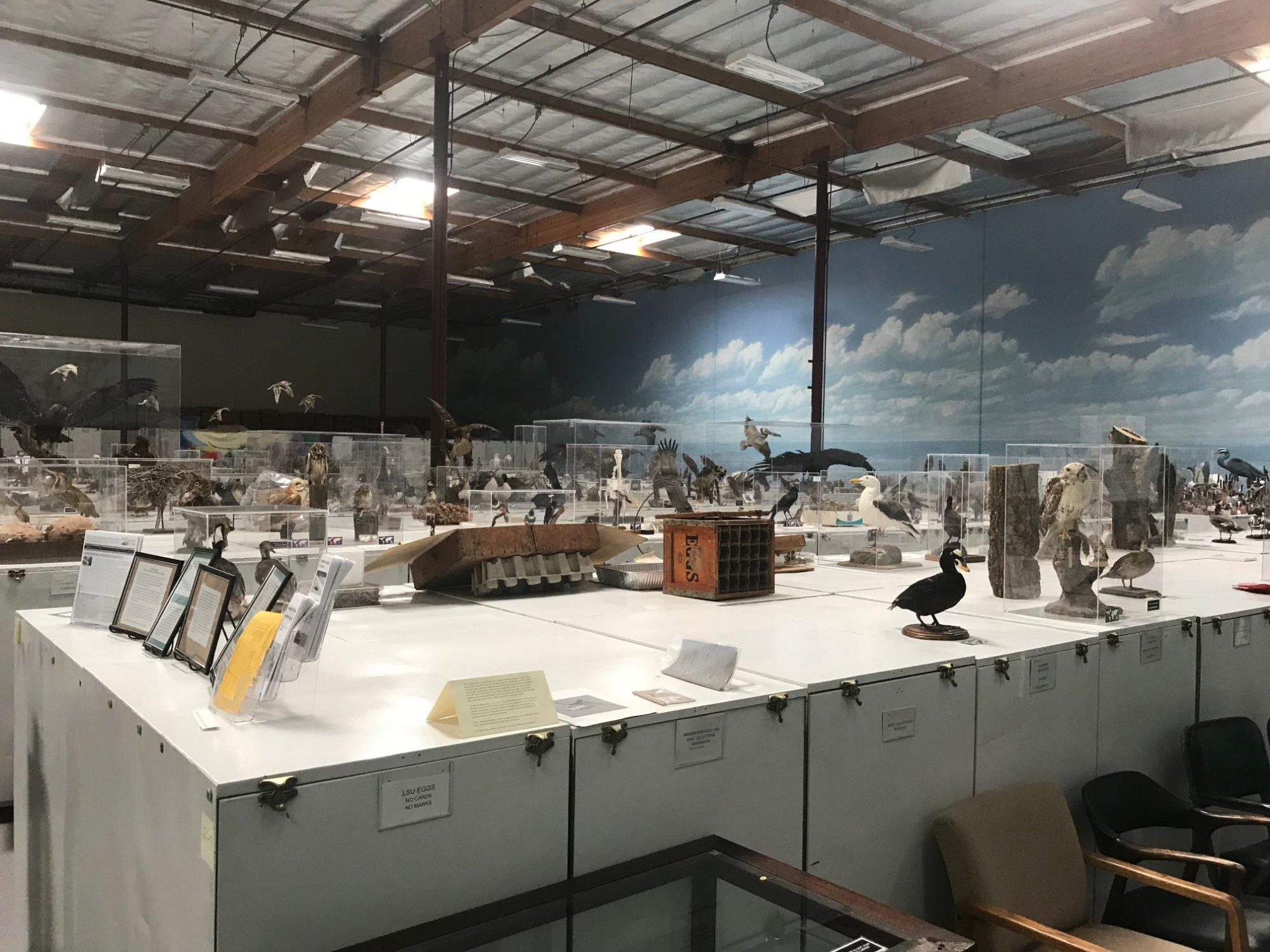 Western Foundation of Vertebrate Zoology