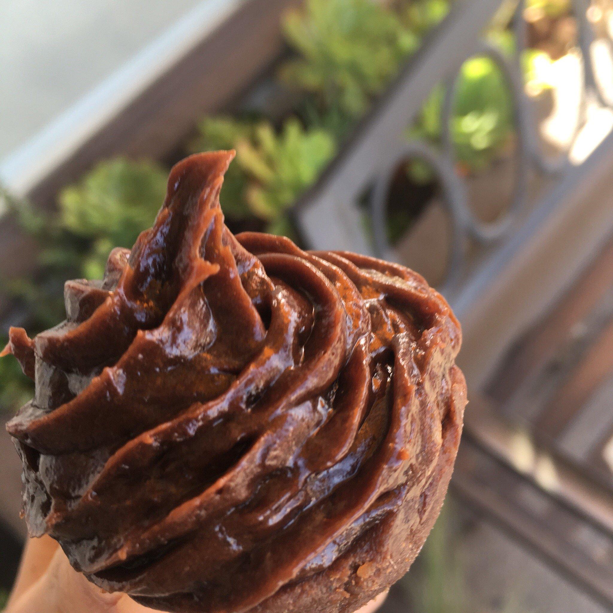 SEJUICED Organic Juice Bar