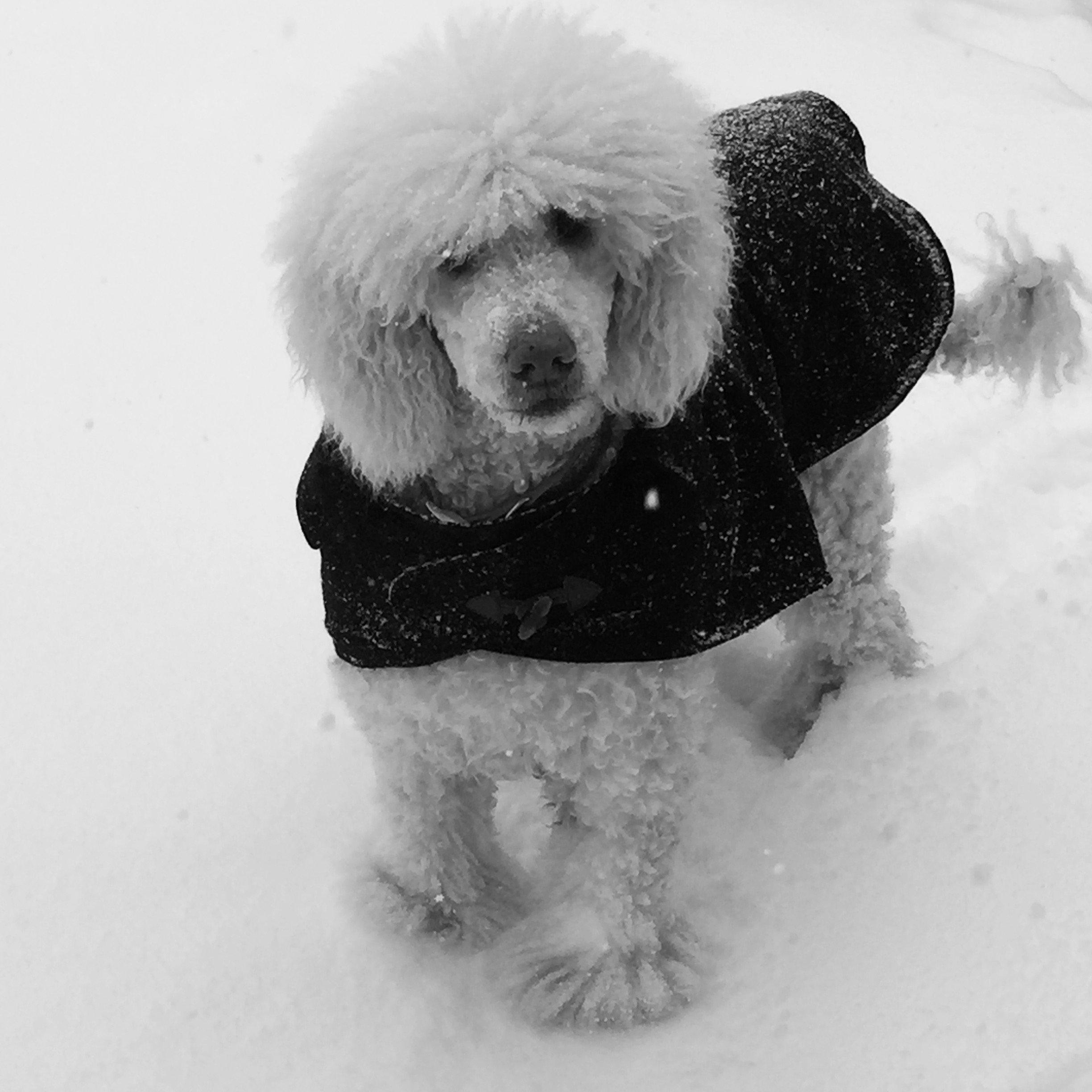 Cindy Riley Massage Therapy