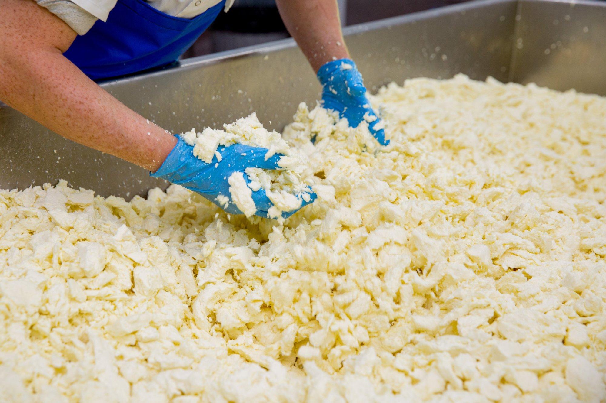 Cheese Tours at Sussex High Weald Dairy