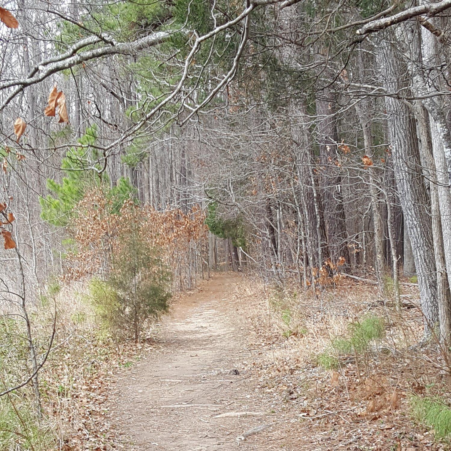 Sandy Creek Park Trail