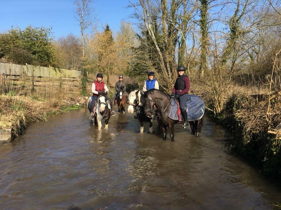 South Downs Trekking