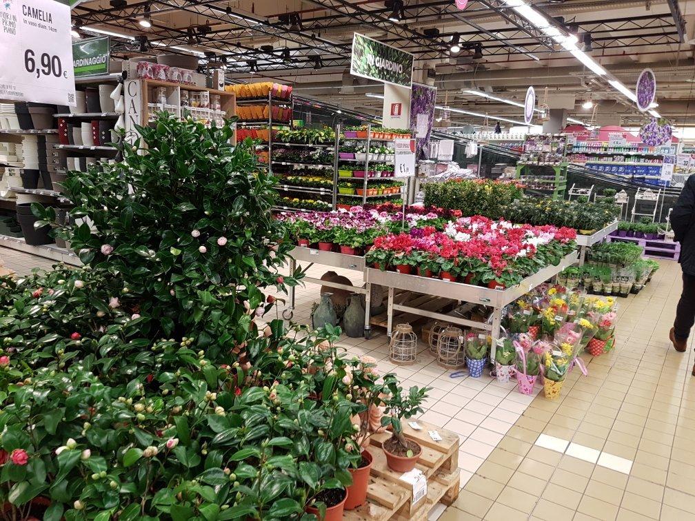 Photo by U2382CWfrancescop