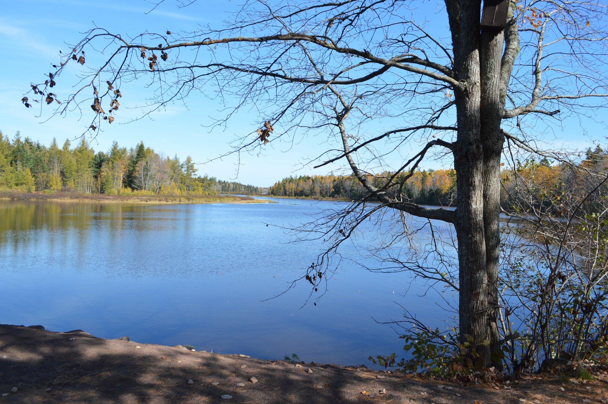 Irishtown Nature Park