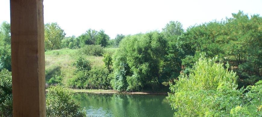 Quail Farm Mined Wildlife Area