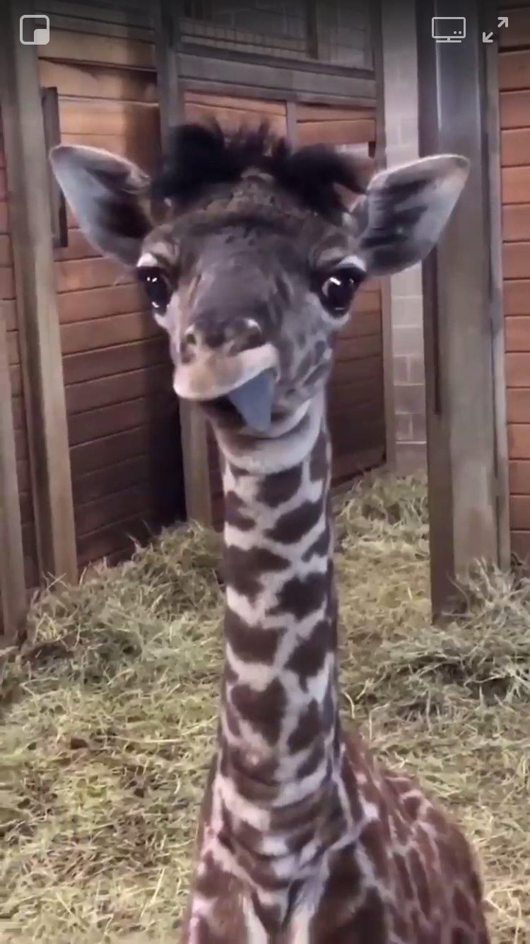 Photo by T9333QJwilliamg