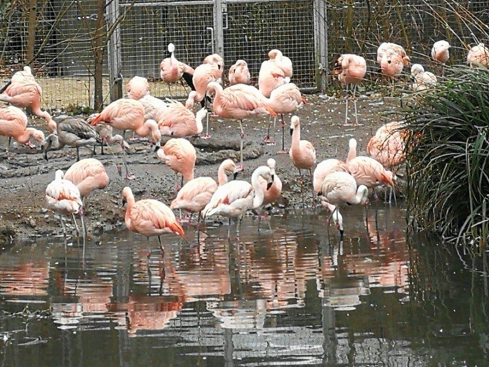 Travelodge pheonix park