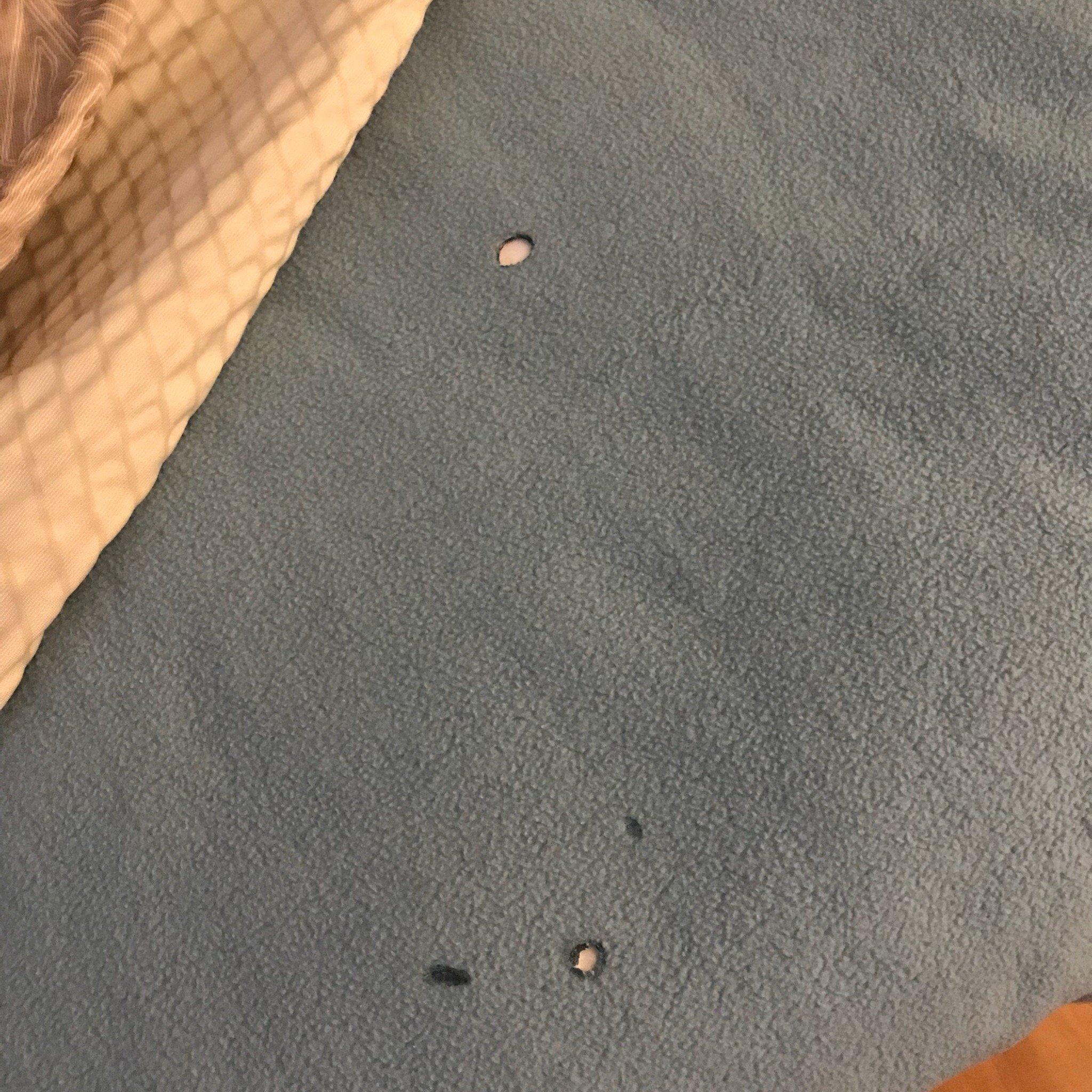 Photo by UnionStrong06