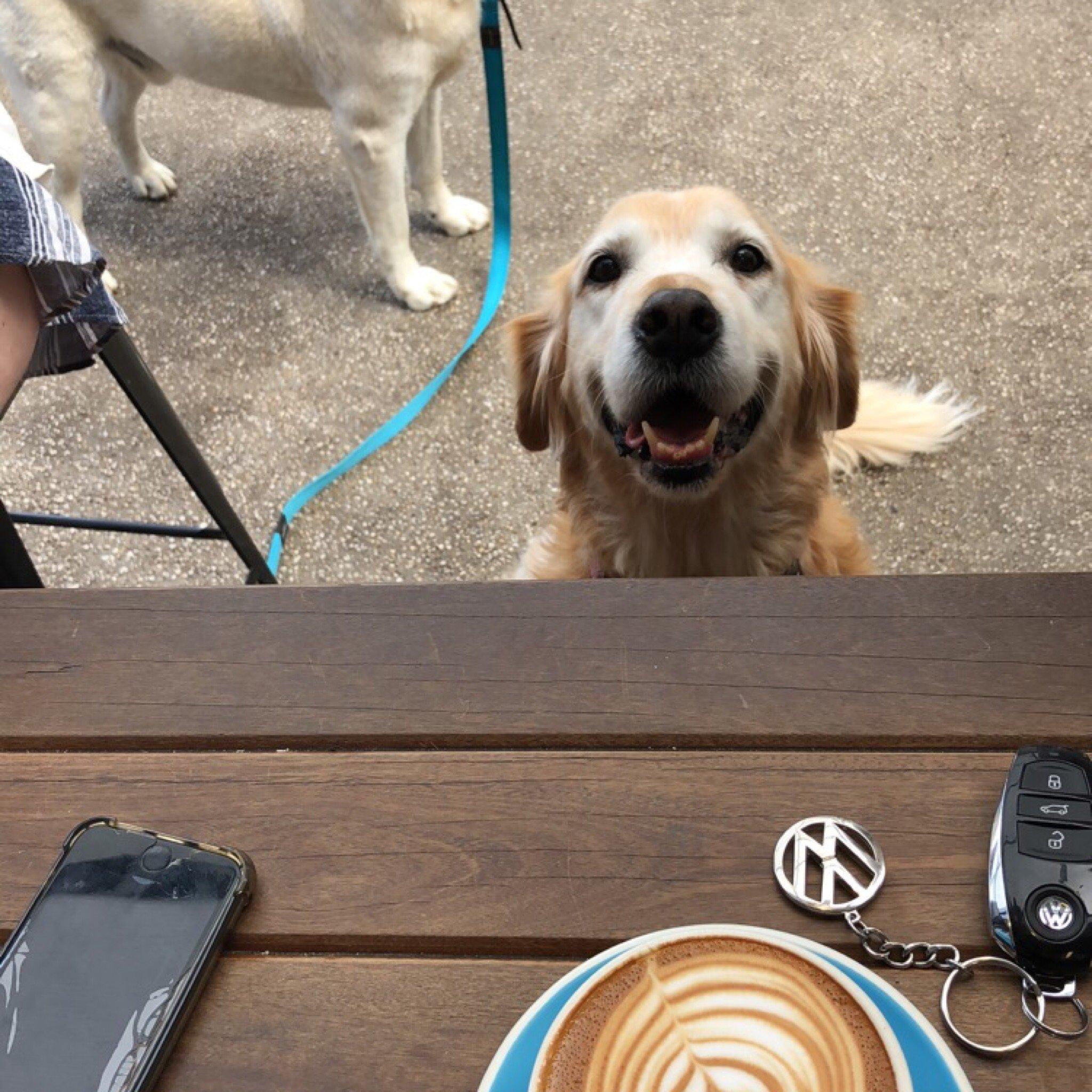 Photo by harrisonbarnes