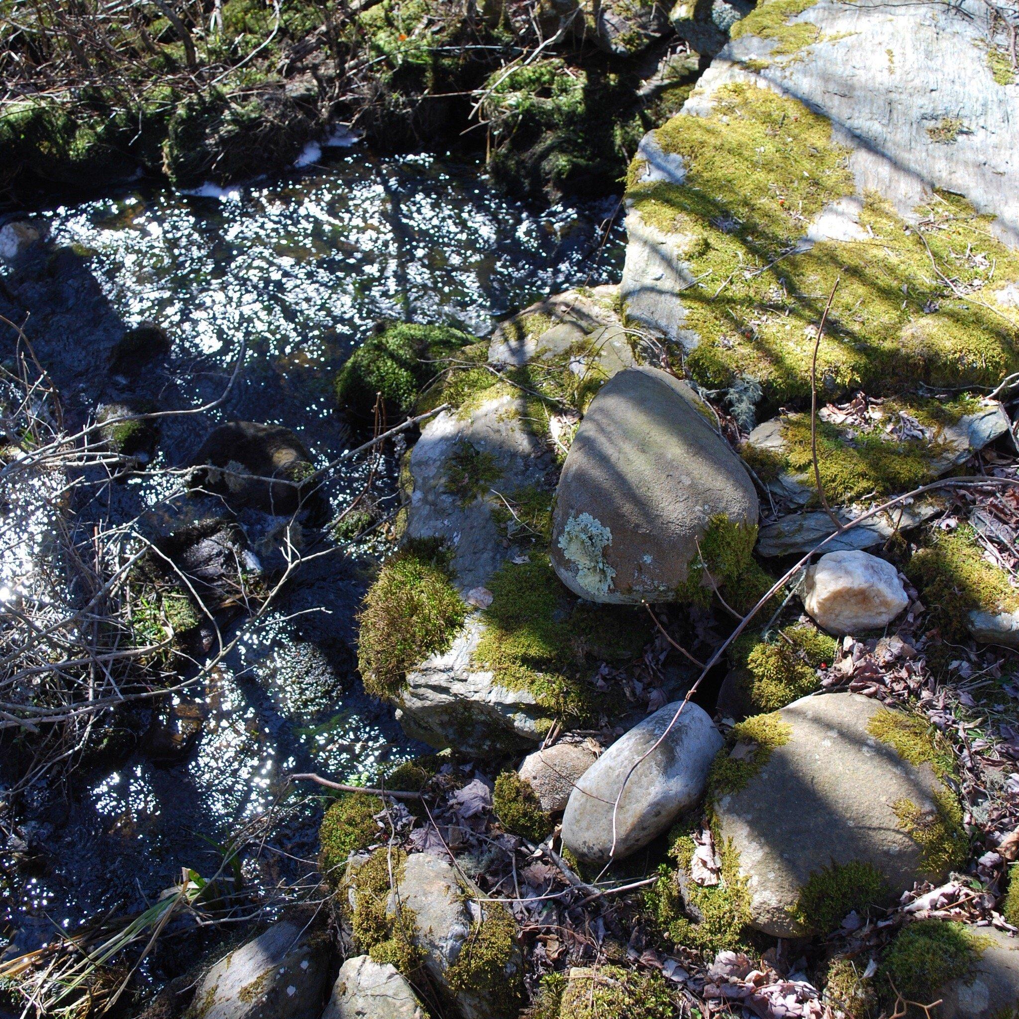 Dundery Brook Trail