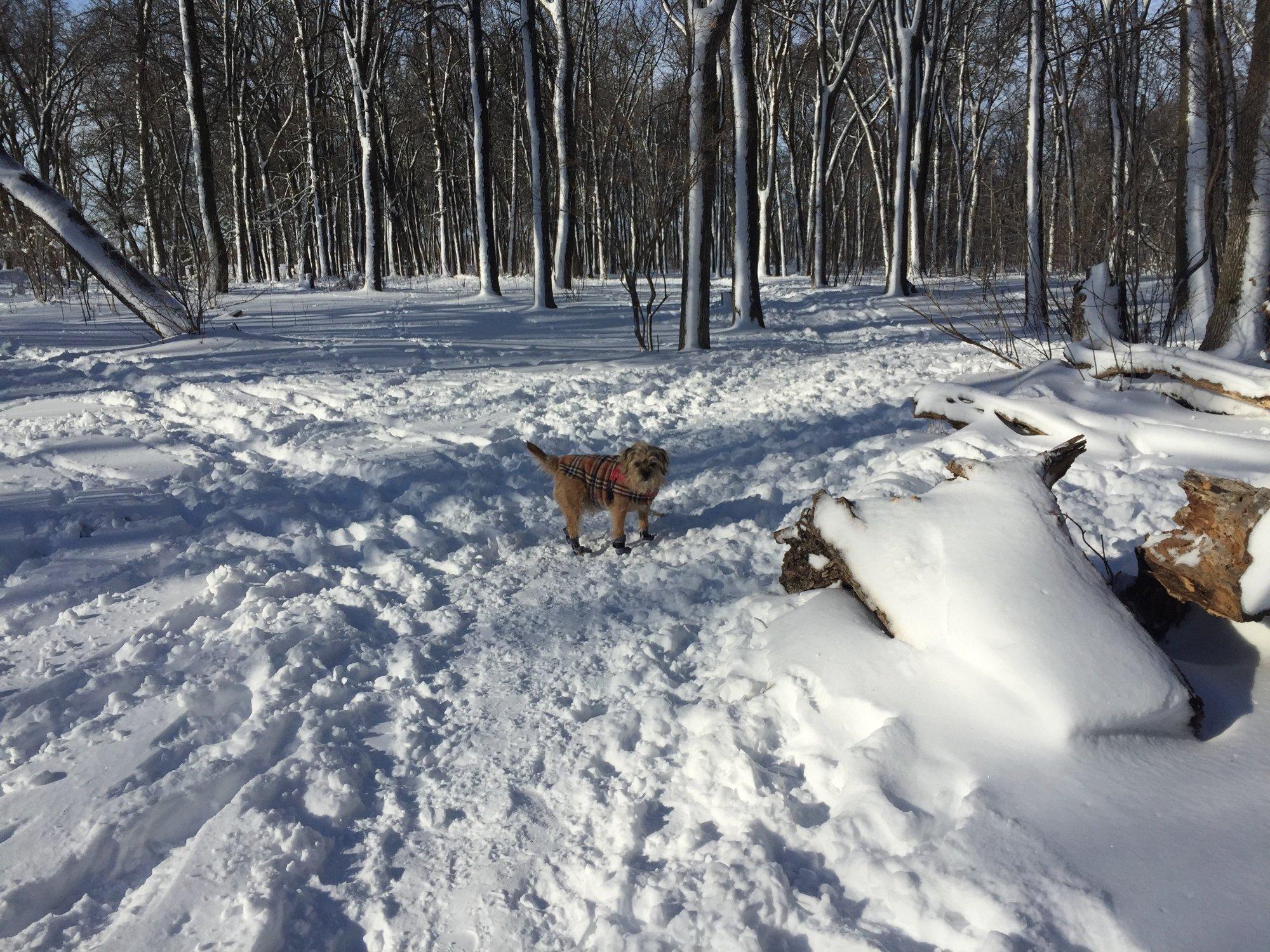 Photo by Shreddershandmaid