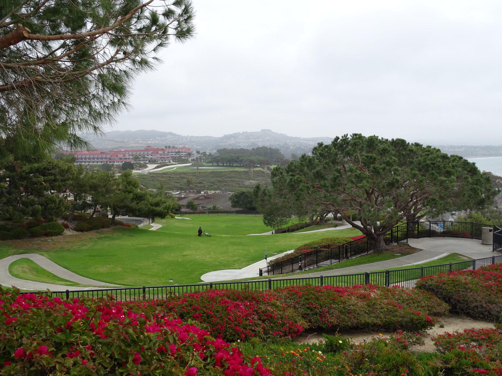 Photo by on_the_go_98765