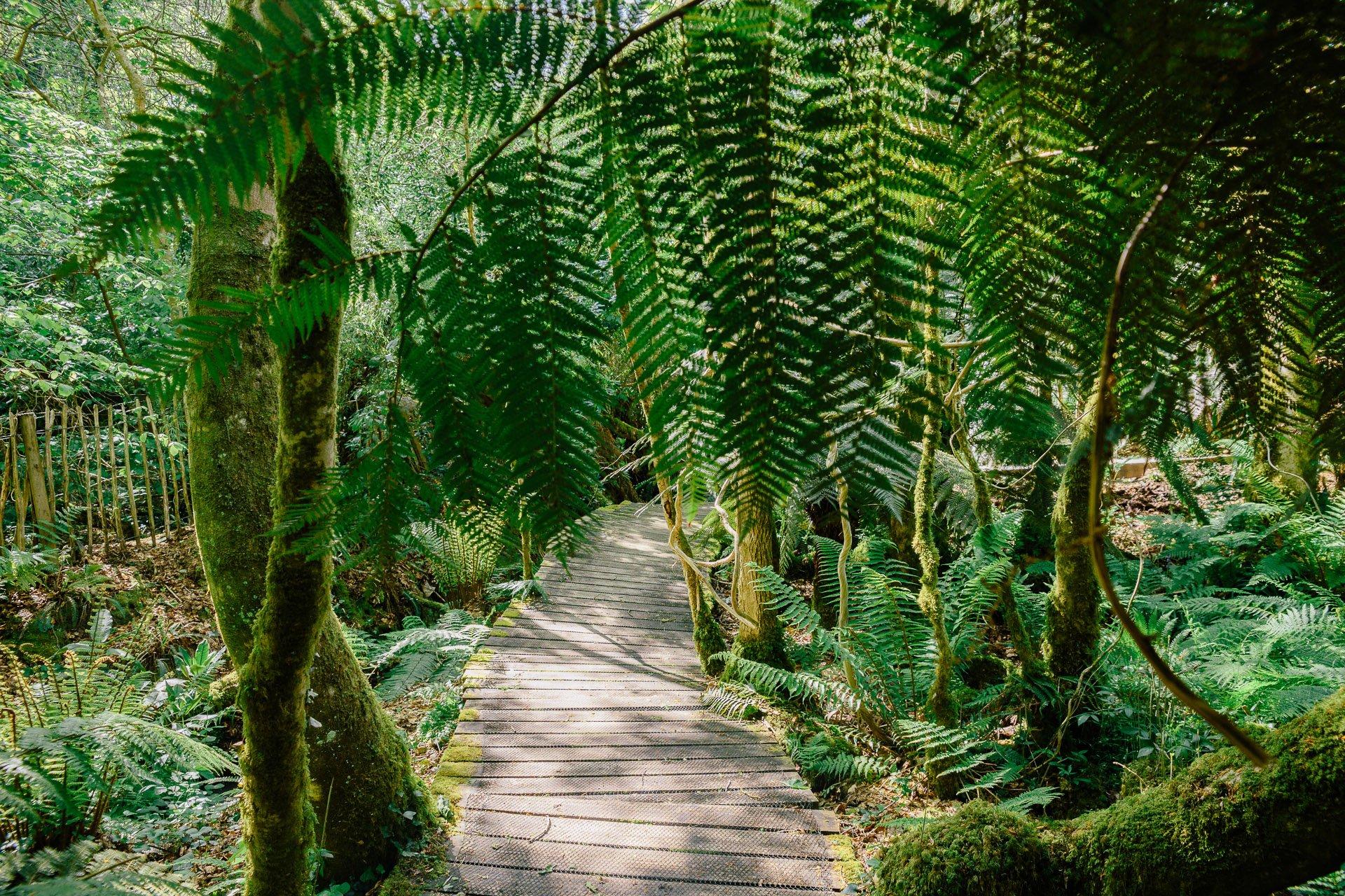 Tremenheere Sculpture Gardens