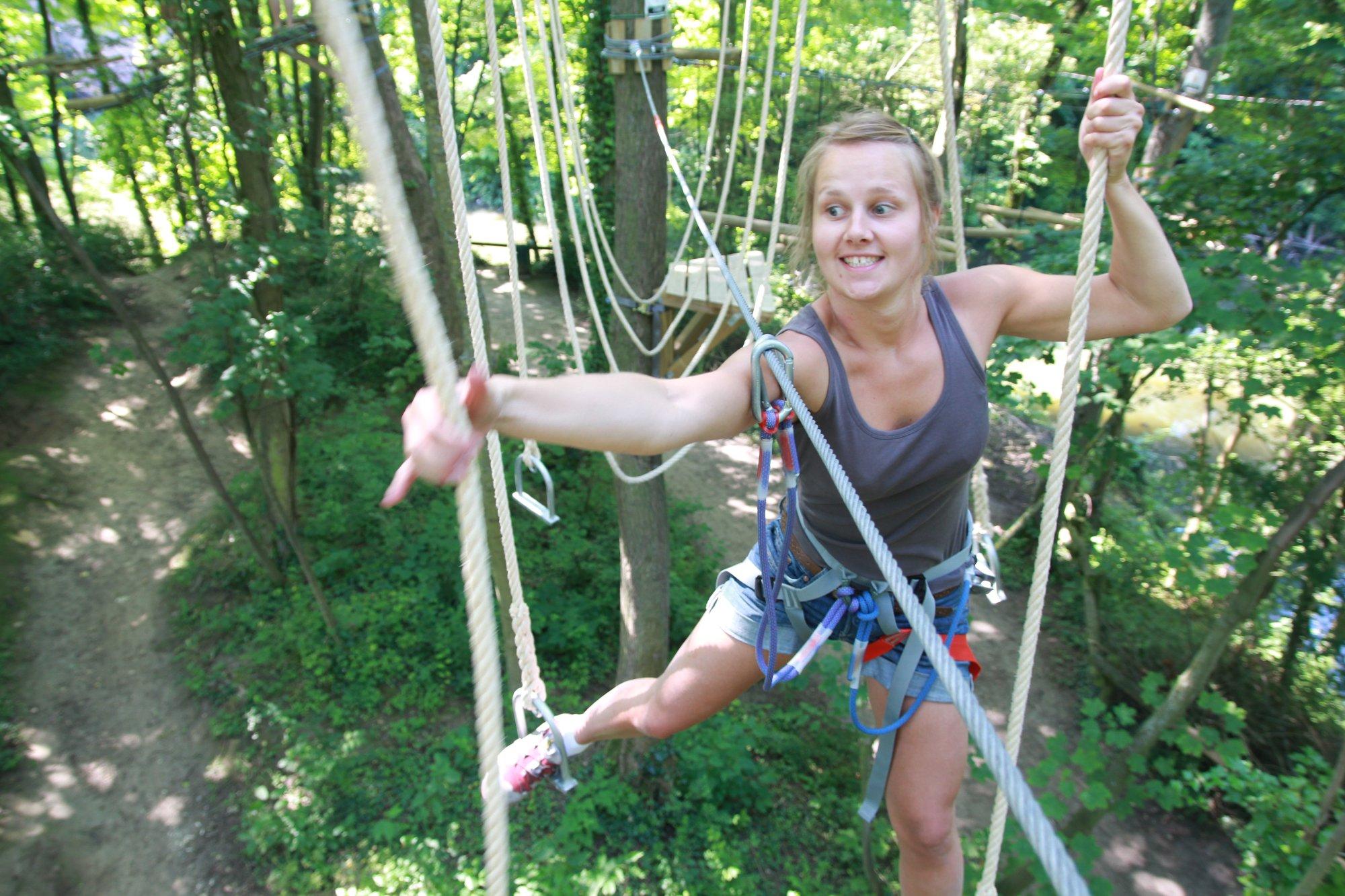 Chlorofil Expérience