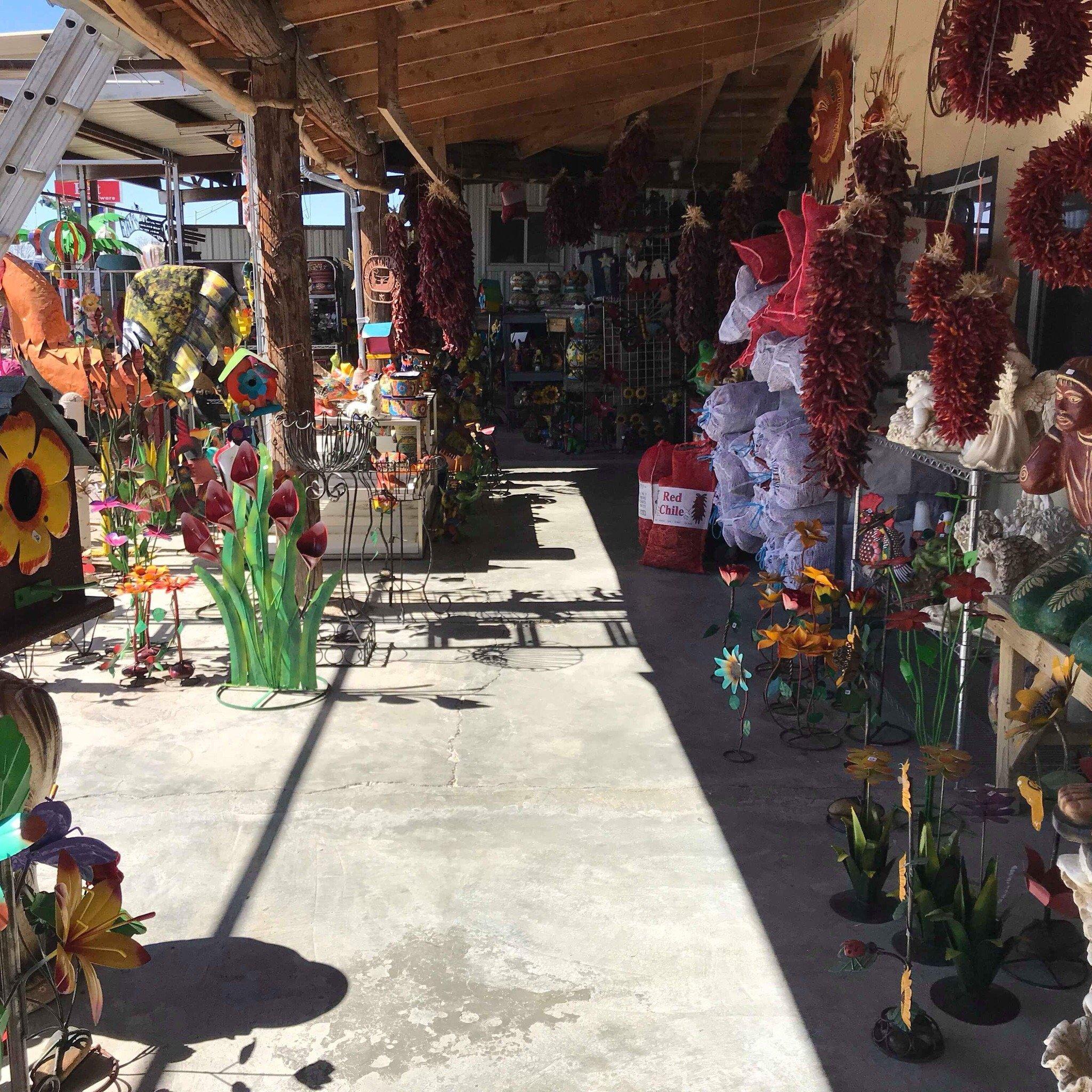 Photo by erikasoto00