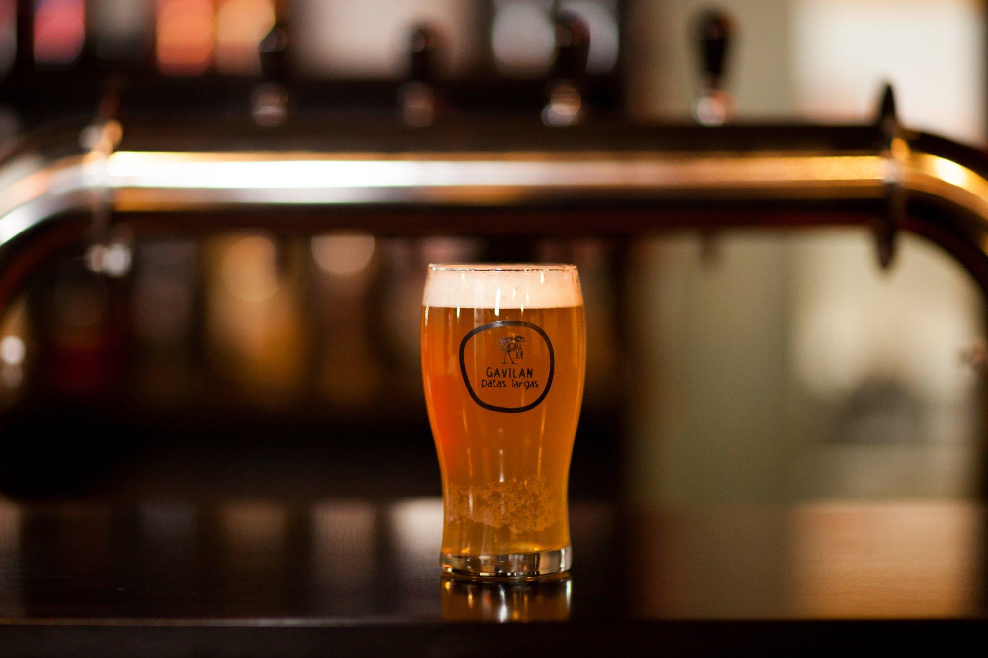 Gavilan Patas Largas