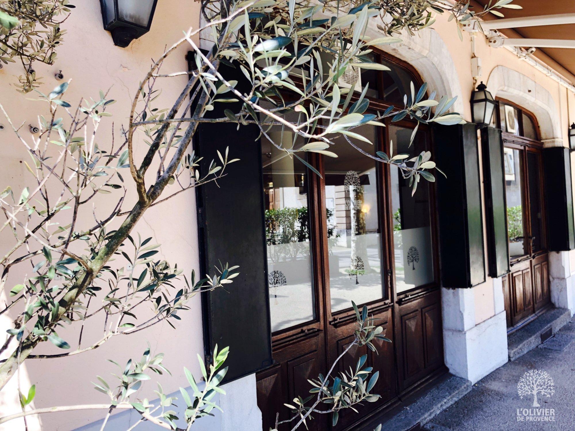 L'Olivier de Provence