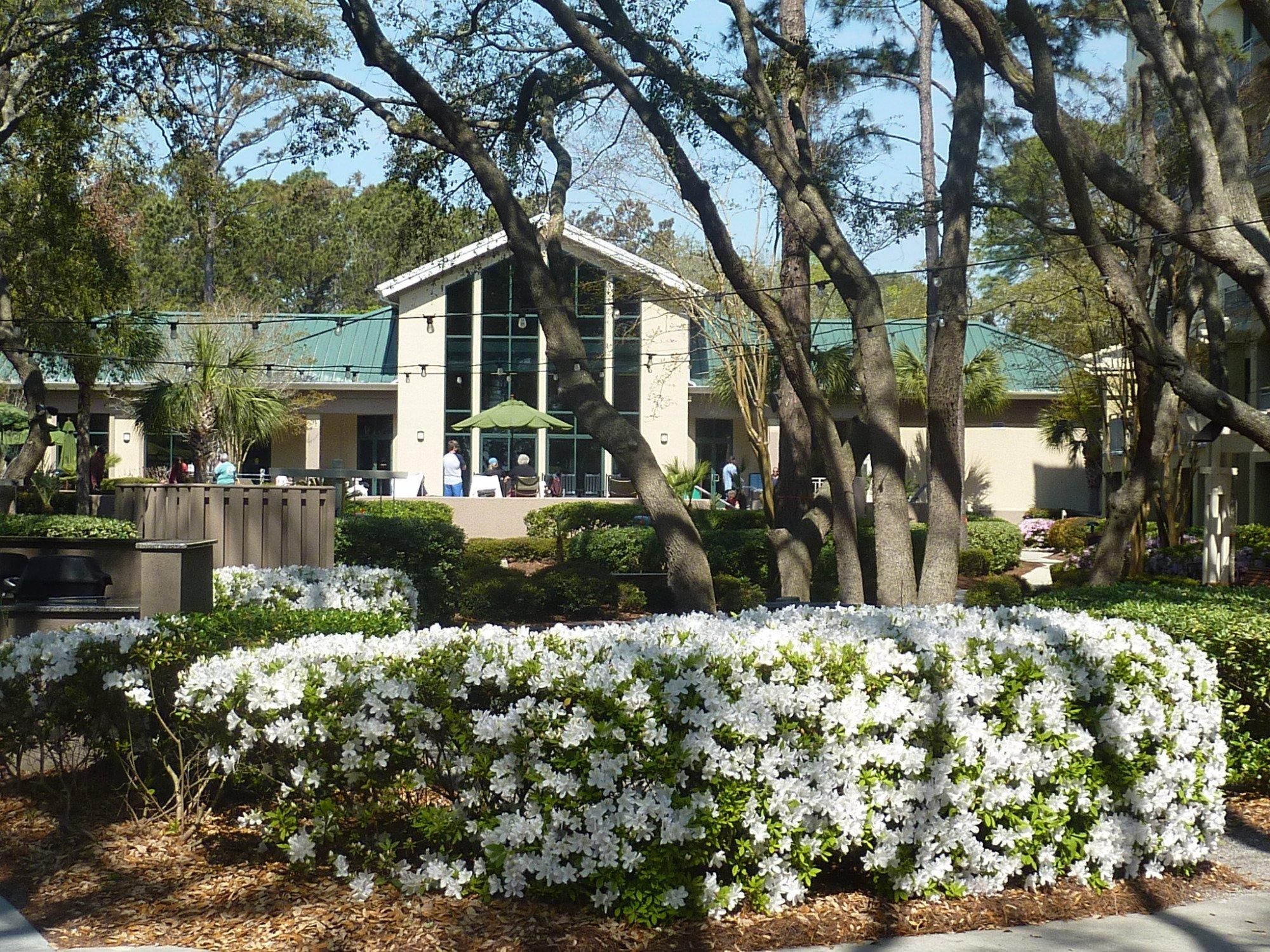 Photo by SavantIII_11