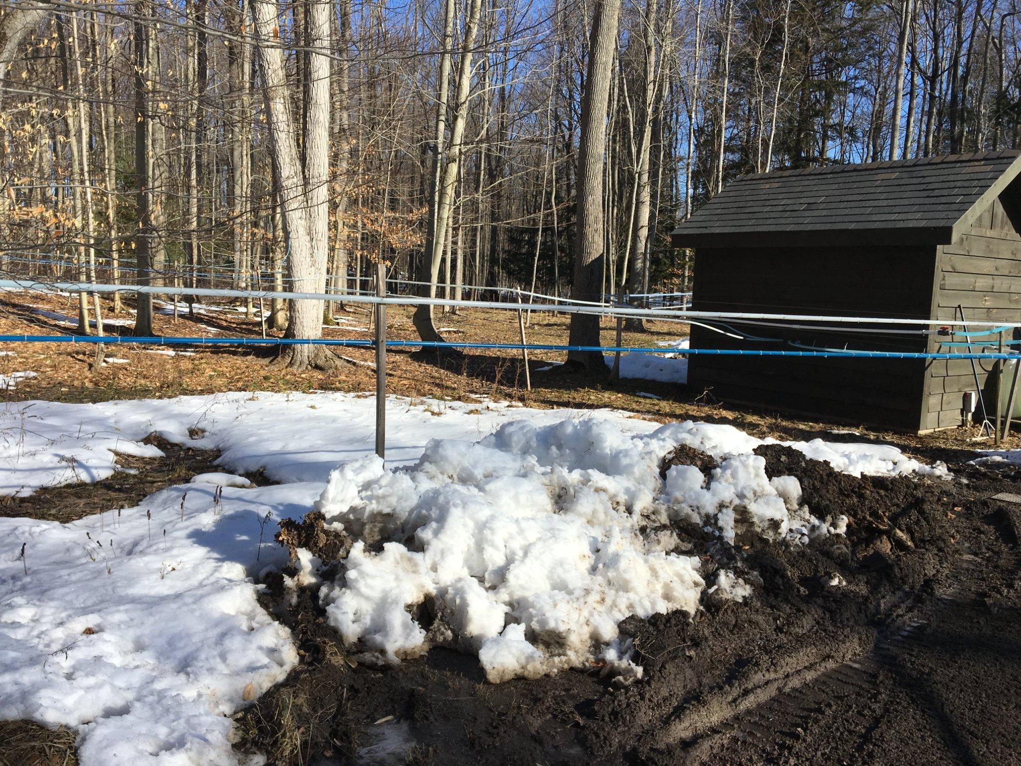 Shadow Hills Maple Syrup Farm