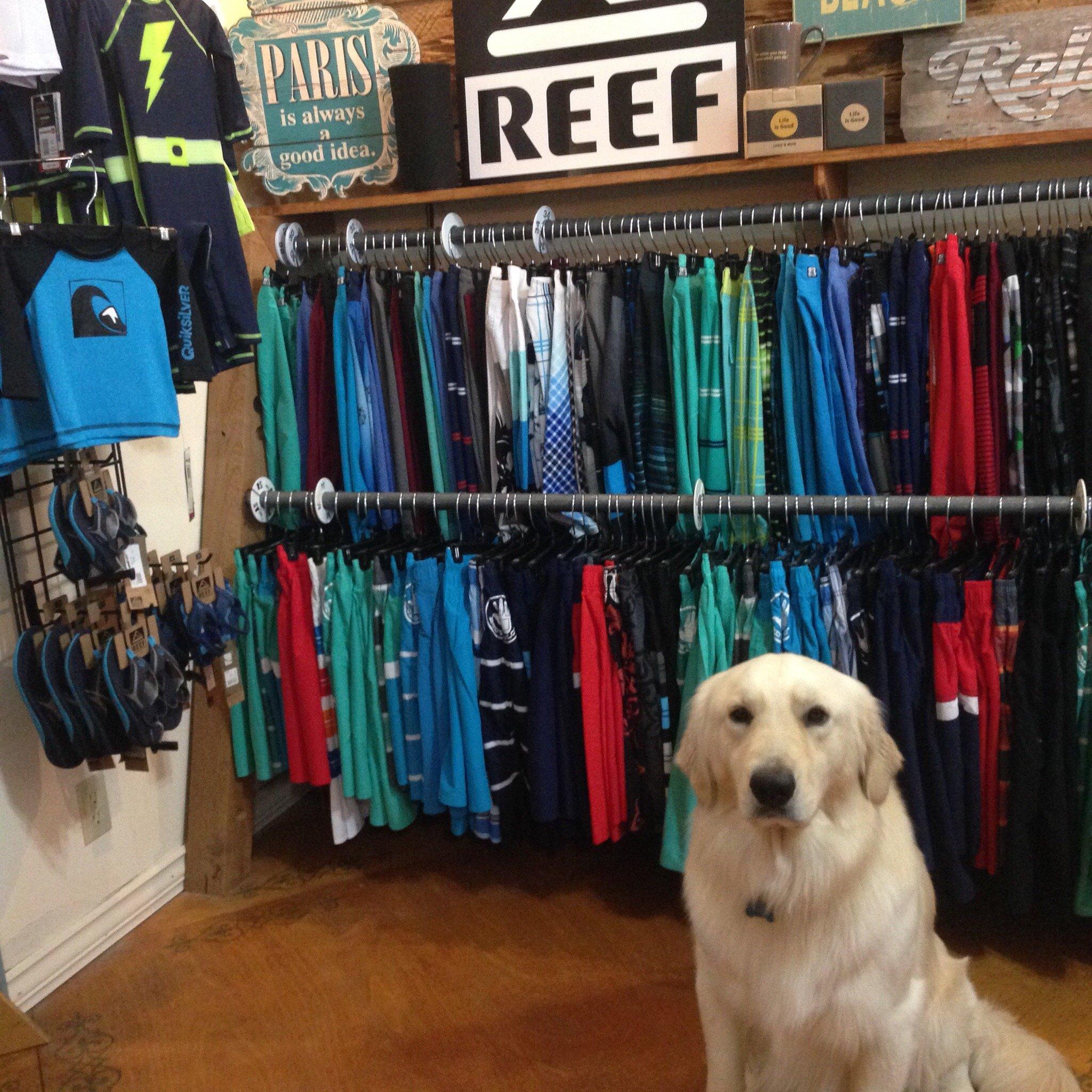 Bikini Company Beach Boutique