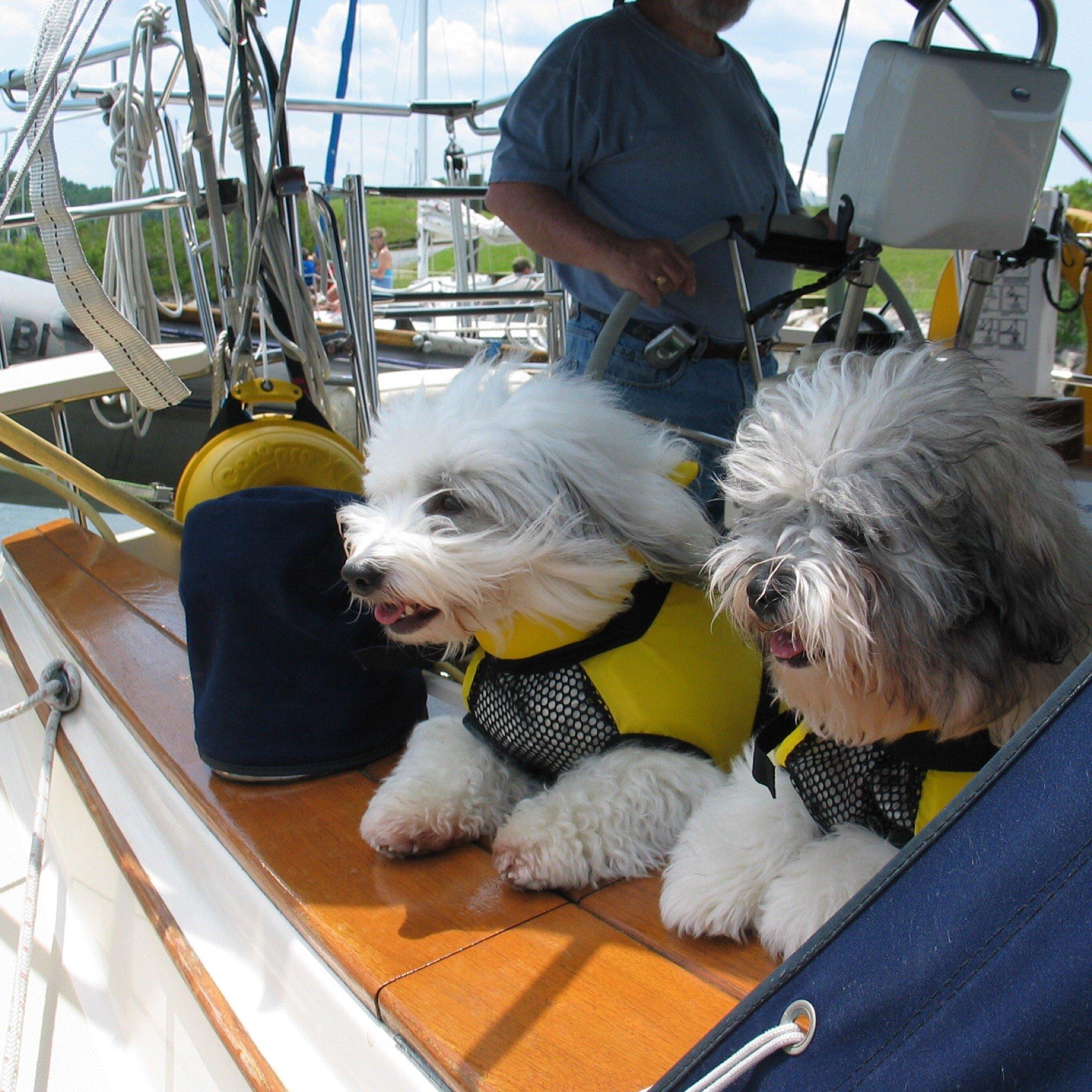 Photo by genegrandisle