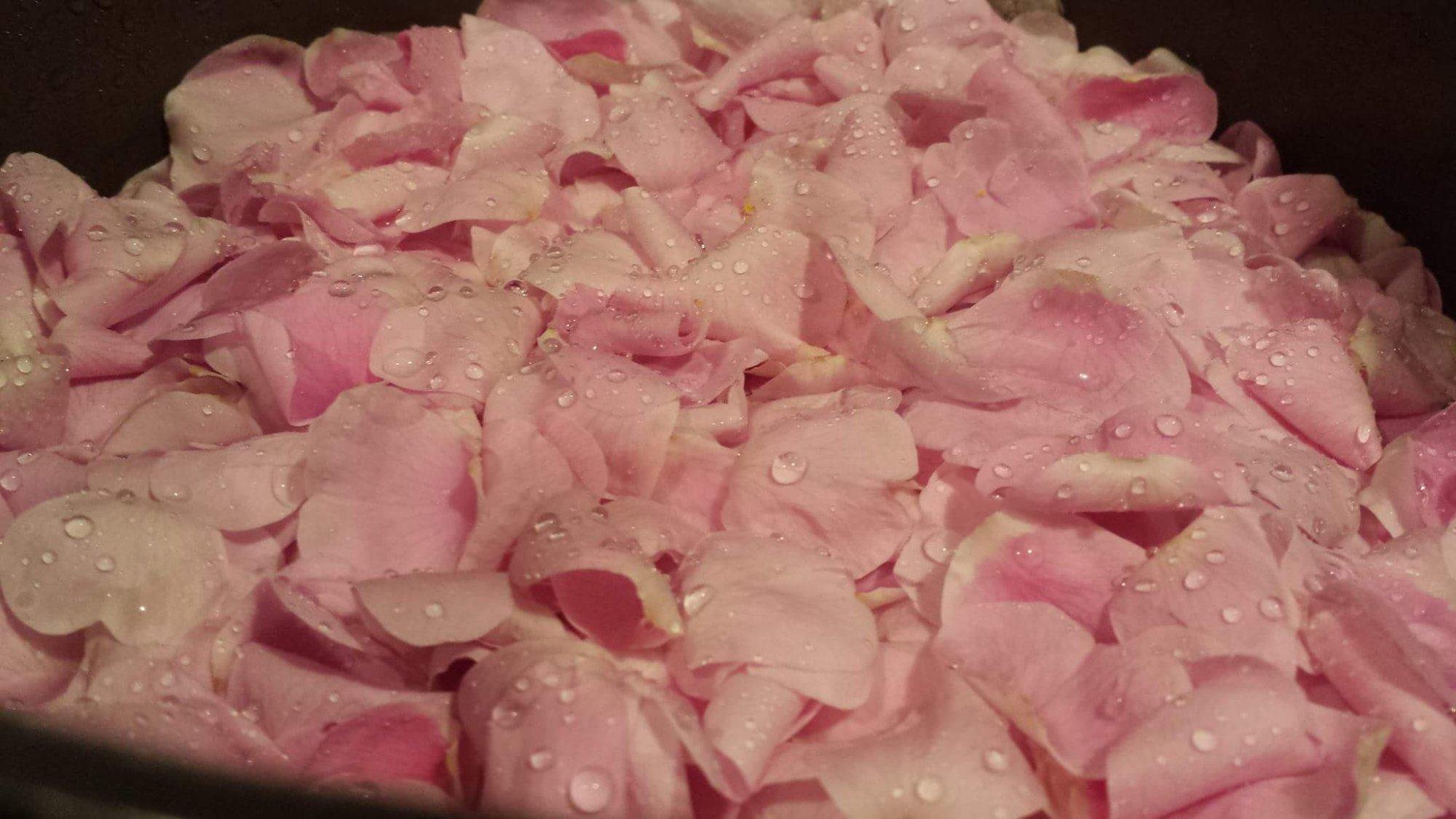 Boathouse Ciderworks