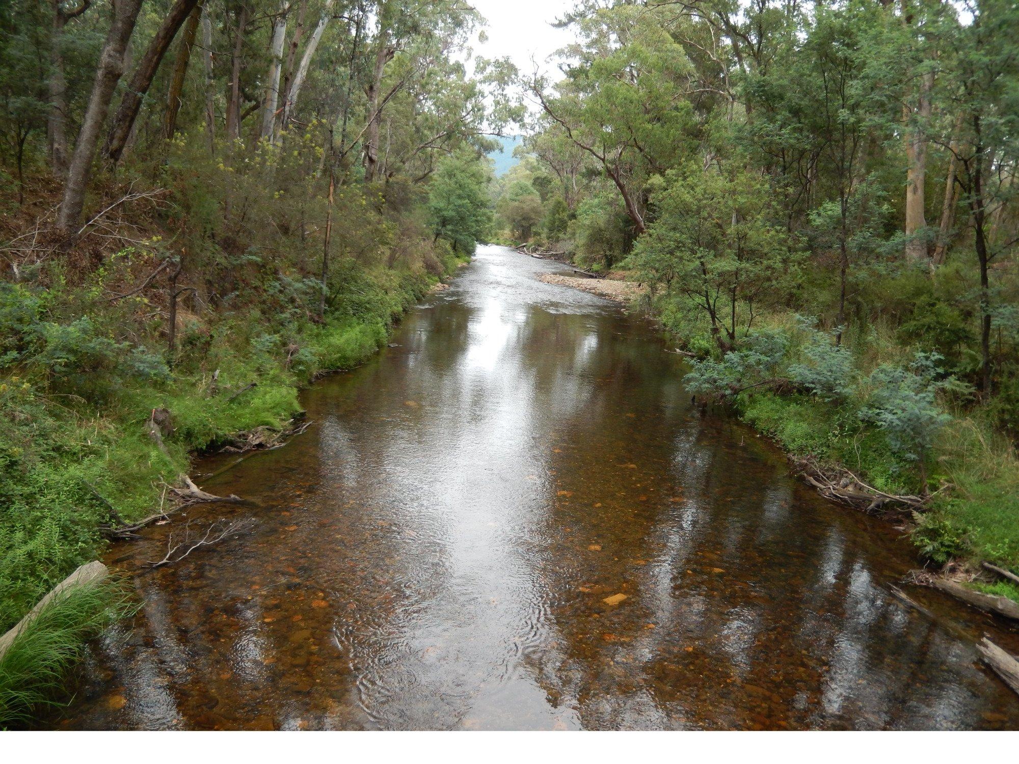 Cherry Walk Nature Trail